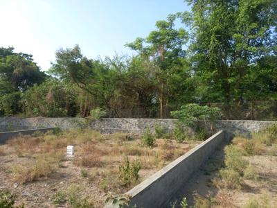 Hinjawadi Phase 2 Plot View 2