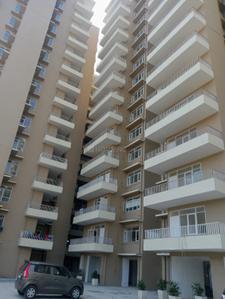 Image of 800 Sq.ft 3 BHK Apartment / Flat for rent in Vashisth Heights, Sector 87, Faridabad for Rs. 15000