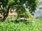 Sector 15 Dwarka Plot View 2