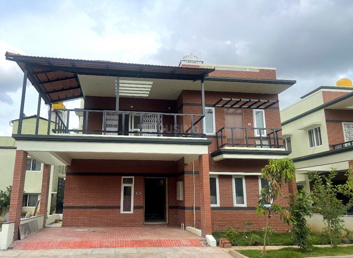 Skylite Sarendipity Main Image 1