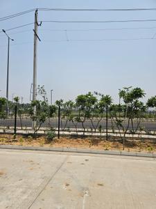 Image of 1395 Sq.ft Residential Plot / Land for sale in Reliance Met City, Yakubpur, Jhajjar for Rs. 15965000
