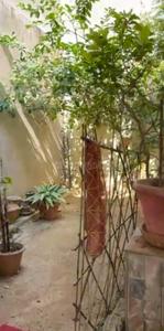 Image of 1400 Sq.ft 2.5 BHK Independent House for sale in Bangla Bazar, Lucknow for Rs. 14000000