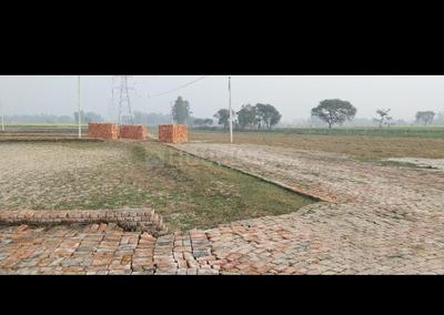 Lakshvar Vajaha More Images 2
