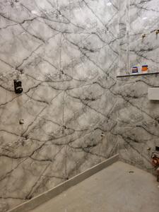 Common Bathroom Image of 600 Sq.ft 2 BHK Apartment / Flat for sale in Dwarka Mor New Delhi for Rs. 4000000