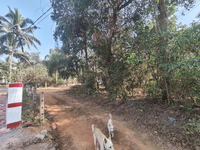 Image of 1550 Sq.ft Residential Plot / Land for sale in Pale, Mormugao for Rs. 38000000