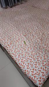 Bedroom Image of 642 Sq.ft 2 BHK Apartment / Flat for sale in Vrindavan Phase 1, Jamtha Nagpur for Rs. 2500000