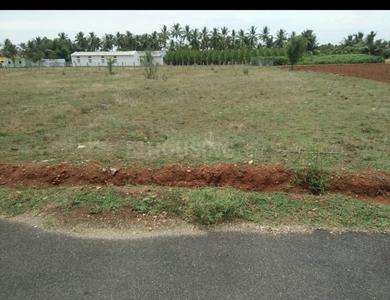 Oory Plot View 2