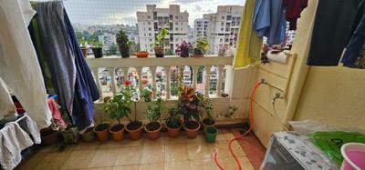Balcony Image of 952 Sq.ft 2 BHK Apartment / Flat for sale in Reelicon Garden Grove, Ambegaon Budruk Pune for Rs. 8400000