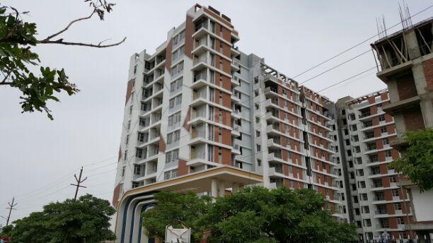 R G Euphoria Main Image 1