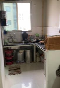 Kitchen Image of 695 Sq.ft 1 BHK Apartment / Flat for sale in D R Spring Odyssey, Bhangiya Indore for Rs. 2890000