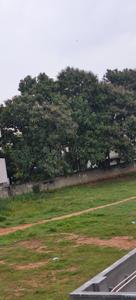 Image of 700 Sq.ft 1 BHK Builder Floor for rent in Talaghattapura, Bengaluru for Rs. 11500