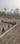 Bhaisaura STP chauraha Plot View 2