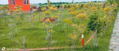 Image of 1000 Sq.ft Residential Plot / Land for sale in Gaura, Lucknow for Rs. 1251000