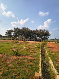 Image of 1200 Sq.ft Residential Plot / Land for sale in Sidlaghatta, Chikballapur District for Rs. 1600000