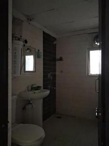Common Bathroom Image of 1300 Sq.ft 3 BHK Apartment / Flat for rent in Amrapali Zodiac, Sector 120 Noida for Rs. 26000