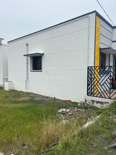 SKANDAAS Main Image 1