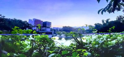 Image of 2650 Sq.ft 3 BHK Villa for rent in Sterling Villa Grande, K R Puram, Bengaluru for Rs. 130000