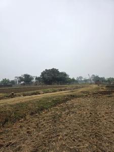 Image of 1361 Sq.ft Residential Plot / Land for sale in Shivala Par, Patna for Rs. 6500000