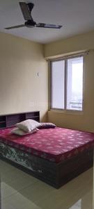 Bedroom Image of 1300 Sq.ft 3 BHK Apartment / Flat for rent in Maa Tara City, Gola Road Patna for Rs. 32000