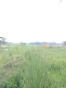 Image of 2889 Sq.ft Residential Plot / Land for sale in Fresco Fountain City Plots, Sankharipota, Raypur for Rs. 900002