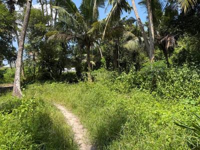 Image of 2177 Sq.ft Residential Plot / Land for sale in Panangad, Kochi for Rs. 3000000