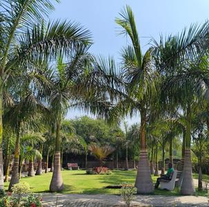 Image of 1066 Sq.ft 2 BHK Apartment / Flat for sale in Daldal Seoni, Raipur for Rs. 3731000