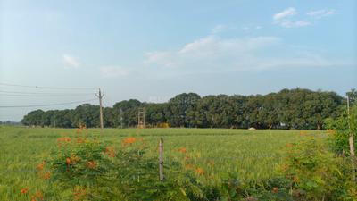 Image of 10000 Sq.ft 1 RK Farm House for sale in Kolar Road, Bhopal for Rs. 6500000