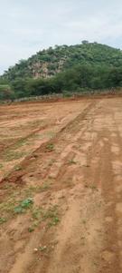 Image of 127 Sq.ft Residential Plot / Land for sale in Balawala, Jaipur for Rs. 3500000