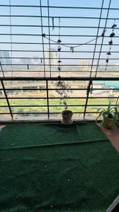 Balcony Image of 1036 Sq.ft 2 BHK Apartment / Flat for rent in Ambika Heritage, Kharghar Navi Mumbai for Rs. 38000