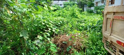 Image of 3048 Sq.ft Residential Plot / Land for sale in Kaloor, Kochi for Rs. 18200000