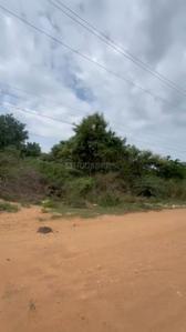 Gandhi Nagar Plot View 3