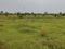 ELGI Nagar Plot View 2