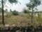 Devender Colony Plot View 1