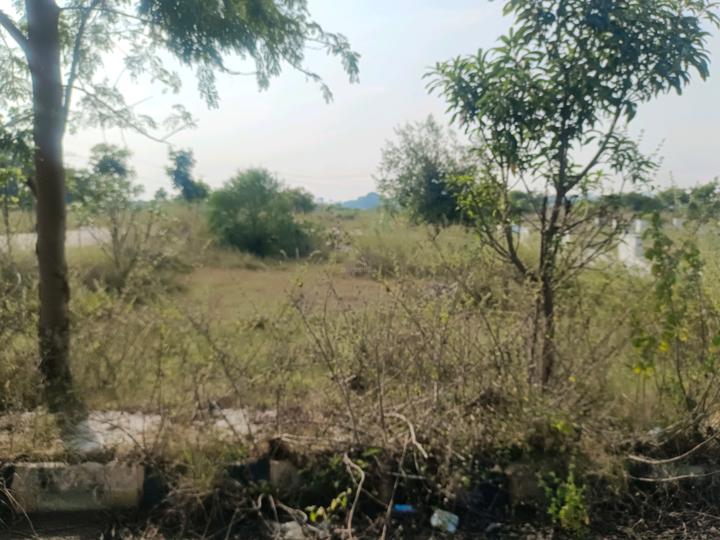 Devender Colony Plot View 1