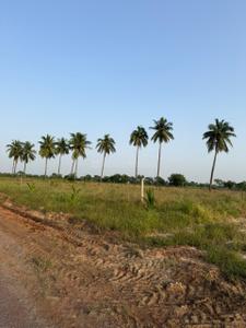 Image of 8000 Sq.ft Residential Plot / Land for sale in Kathadih, Raipur for Rs. 4600000