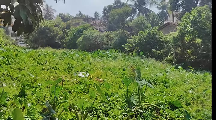 Garia land Main Image 1