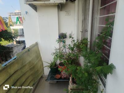 Balcony Image of 940 Sq.ft 2 BHK Apartment / Flat for sale in Fortune Soumya Heritage, Hoshangabad Road Bhopal for Rs. 2500000