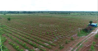 Image of 1308 Sq.ft Residential Plot / Land for sale in Paatha Kadapa, Kadapa for Rs. 750000