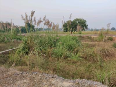 Image of 900 Sq.ft Residential Plot / Land for sale in Chhapraula, Ghaziabad for Rs. 2500003
