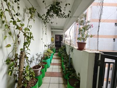 Balcony Image of 1850 Sq.ft 3 BHK Apartment / Flat for sale in Ambawadi Ahmedabad for Rs. 15000000