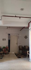 Hall Image of 749 Sq.ft 3 BHK Apartment / Flat for sale in Vashisth Heights, Sector 87 Faridabad for Rs. 6500000