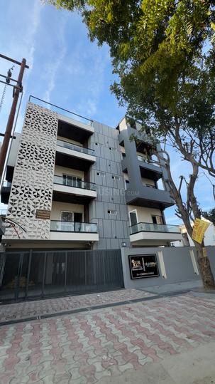 Blossom Avenue Main Image 1