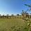 Aranya City Of Woodland Main Image 1