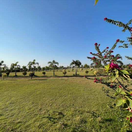 Aranya City Of Woodland Main Image 1