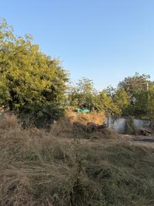 Image of 2000 Sq.ft Residential Plot / Land for sale in Bodakdev, Ahmedabad for Rs. 360000000
