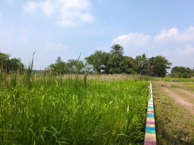 Image of 720 Sq.ft Residential Plot / Land for sale in Natures Paradise, Joka, Kolkata for Rs. 150000