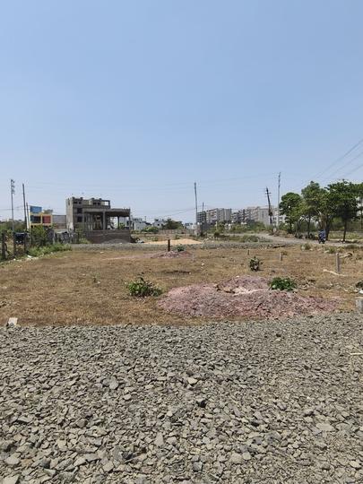 Palasi Main Image 1