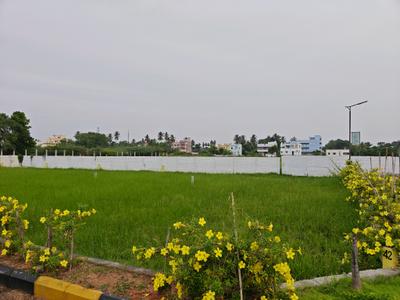 Image of 900 Sq.ft Residential Plot / Land for sale in Mannivakkam, Chennai for Rs. 4229103