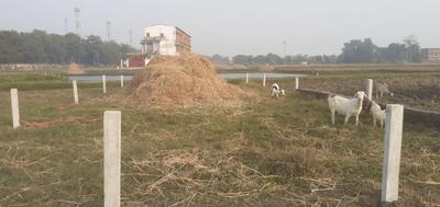 Image of 1410 Sq.ft Residential Plot / Land for sale in Raiganj, Gorakhpur for Rs. 2200000