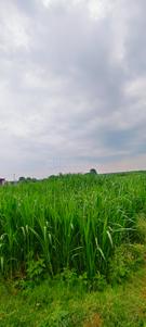 Image of 43560 Sq.ft Residential Plot / Land for sale in Kandukur, Hyderabad for Rs. 15000000